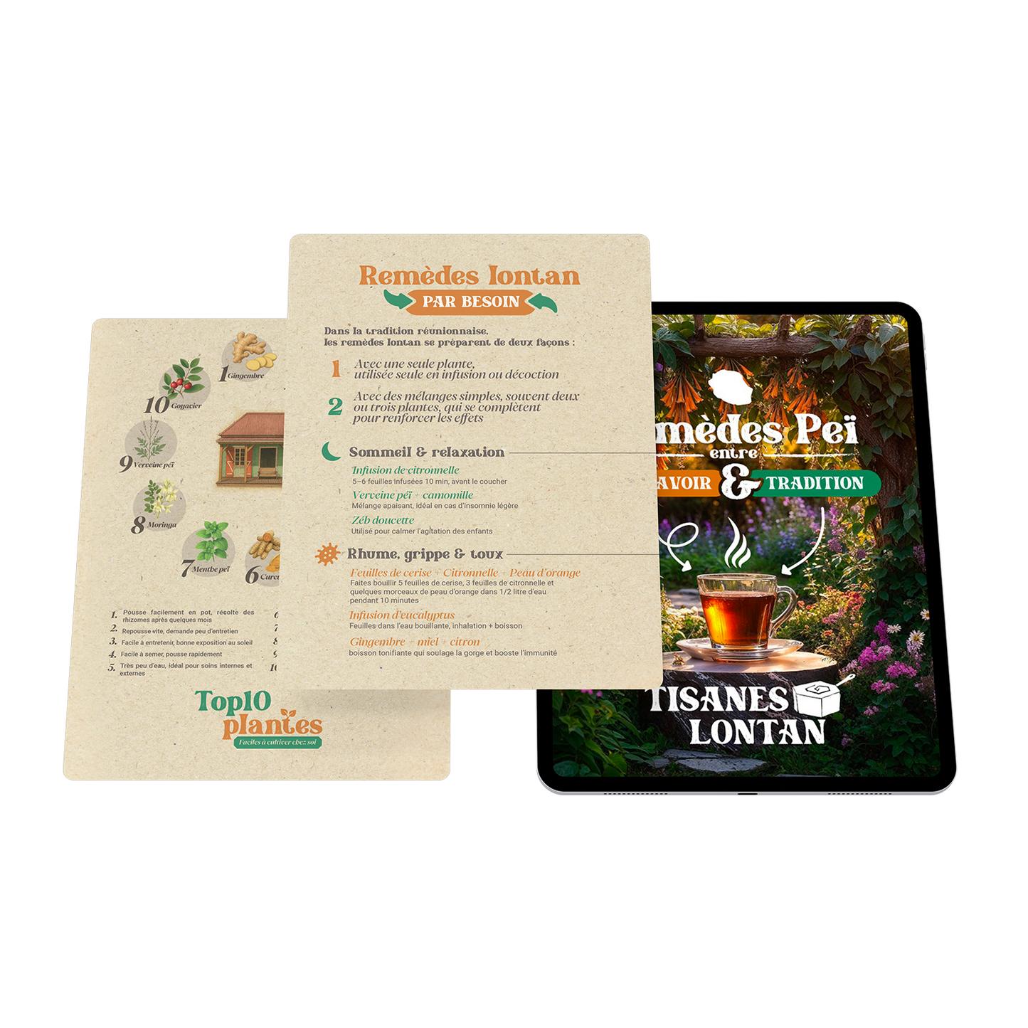 Guide Tisanes Lontan